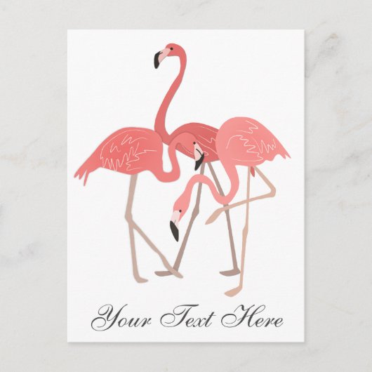 Rosa Flamingo-Trio Postkarte (Vorderseite)