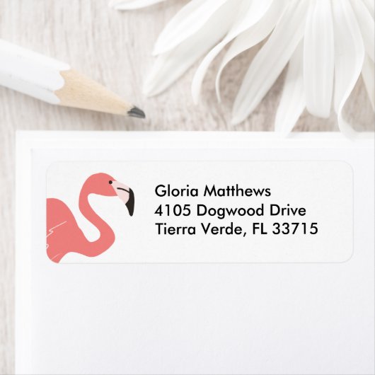 Rosa Flamingo Tropical (Insitu)