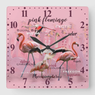 Rosa Flamingo-Typografie   besonders angefertigt Quadratische Wanduhr