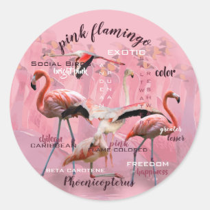 Rosa Flamingo-Typografie besonders angefertigt Runder Aufkleber