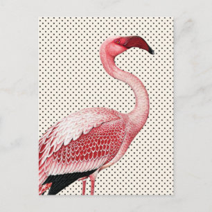 Rosa Flamingo und vintage Polka Punkte Postkarte
