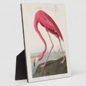 Rosa Flamingo von John Audubon Fotoplatte (Seite)