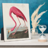 Rosa Flamingo von John Audubon Fotoplatte (Seite)