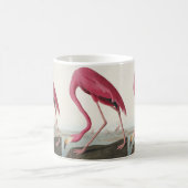 Rosa Flamingo von Vögeln Amerikas Kaffeetasse (Mittel)