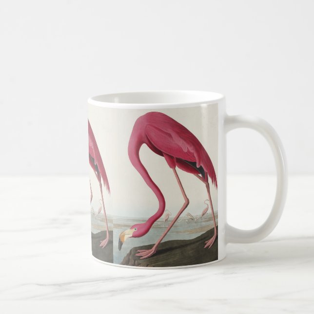 Rosa Flamingo von Vögeln Amerikas Kaffeetasse (Rechts)