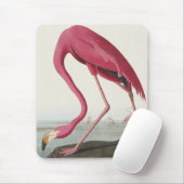 Rosa Flamingo von Vögeln Amerikas Mousepad (Mit Mouse)