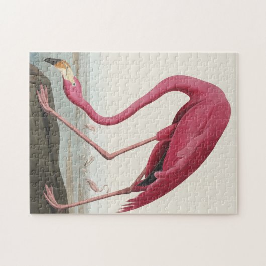 Rosa Flamingo von Vögeln Amerikas Puzzle (Horizontal)