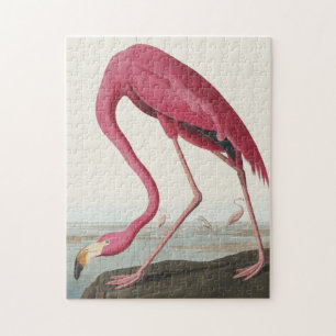 Rosa Flamingo von Vögeln Amerikas Puzzle
