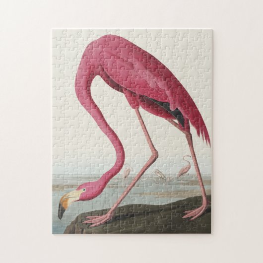 Rosa Flamingo von Vögeln Amerikas Puzzle (Vertikal)