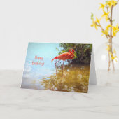 Rosa Flamingo Wading in Wasser Happy Birthday Karte (Gelbe Blume)