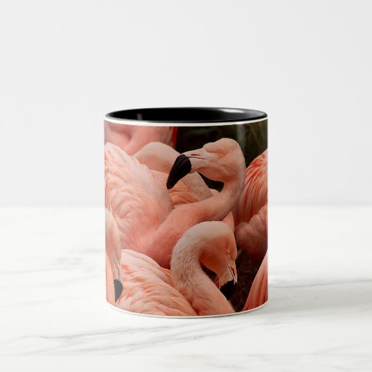 Rosa Flamingodruck-Kaffee-Tasse Zweifarbige Tasse (Mittel)