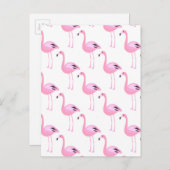Rosa Flamingos 2 2 Postkarte (Vorne/Hinten)