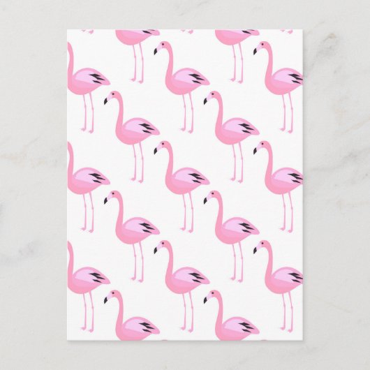 Rosa Flamingos 2 2 Postkarte (Vorderseite)
