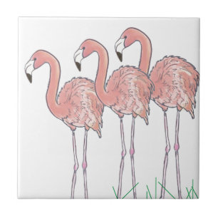 Rosa Flamingos-Aquarell zeichnend Fliese