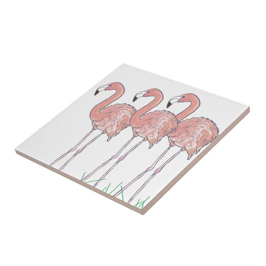 Rosa Flamingos-Aquarell zeichnend Fliese (Seite)