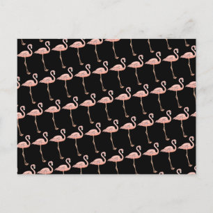 Rosa Flamingos auf der schwarzen Seite Postkarte