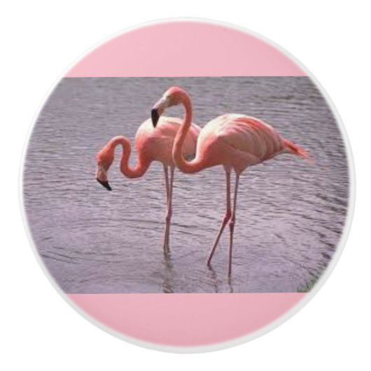 Rosa Flamingos auf Keramik-Griffen und Zügen Keramikknauf (Vorderseite)
