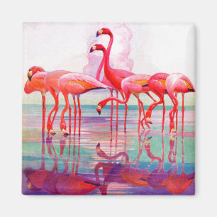 Rosa Flamingos durch Francis-Lee Jacques Magnet