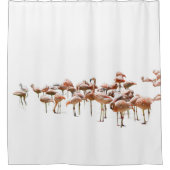 Rosa Flamingos Duschvorhang (Vorderseite)