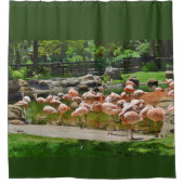 Rosa Flamingos Duschvorhang (Vorderseite)