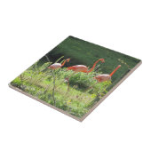 Rosa Flamingos Fliese (Seite)