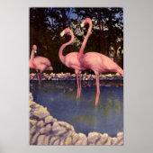 Rosa Flamingos, Florida Poster (Vorne)
