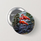 Rosa Flamingos im Wasser Button (Vorne & Hinten)