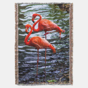 Rosa Flamingos im Wasser Decke