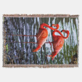 Rosa Flamingos im Wasser Decke (Vorderseite)