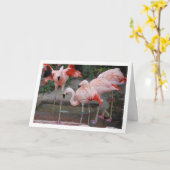 Rosa Flamingos im Wasser Karte (Gelbe Blume)