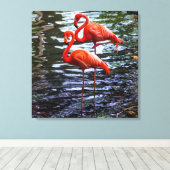 Rosa Flamingos im Wasser Leinwanddruck (Insitu (Holzboden))