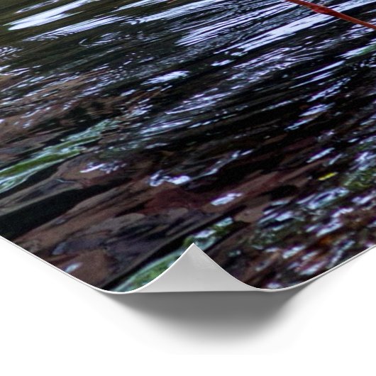 Rosa Flamingos im Wasser Poster (Ecke)