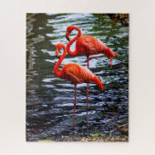 Rosa Flamingos im Wasser Puzzle (Vertikal)
