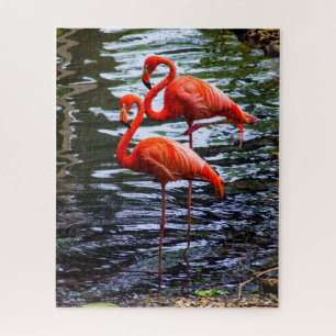 Rosa Flamingos im Wasser Puzzle