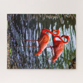 Rosa Flamingos im Wasser Puzzle (Horizontal)