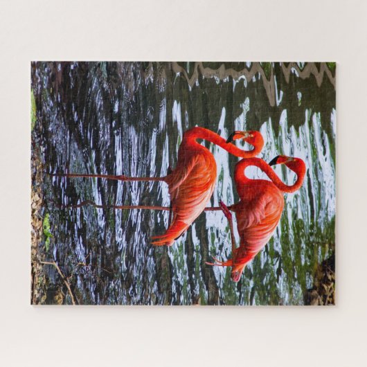 Rosa Flamingos im Wasser Puzzle (Horizontal)