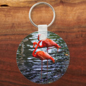 Rosa Flamingos im Wasser Schlüsselanhänger (Vorderseite)