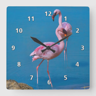 Rosa Flamingos in dem See Quadratische Wanduhr