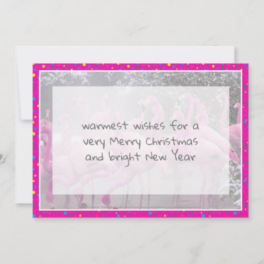 Rosa Flamingos in der Schnee Frohe Weihnachten (Rückseite)