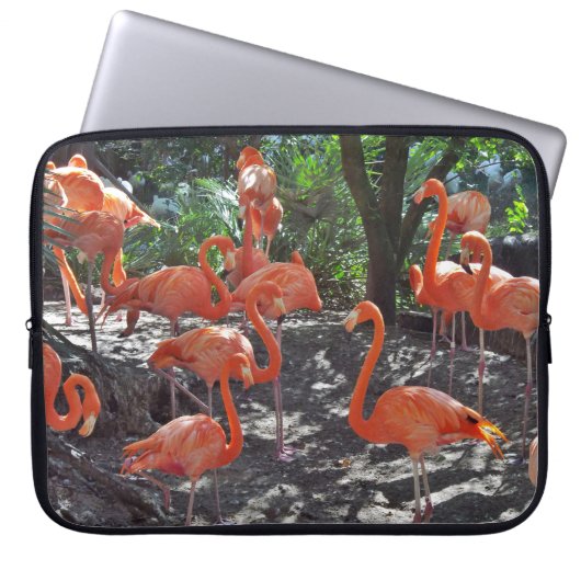 Rosa Flamingos Laptopschutzhülle (Vorderseite)