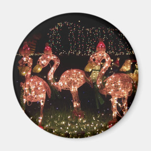 Rosa Flamingos Magnet
