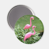 Rosa Flamingos Magnet (rund) (Vorderseite/Rückseite)