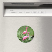 Rosa Flamingos Magnet (rund) (In Situ (Geschirrspüler))