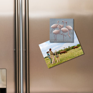 Rosa Flamingos Magnet   Serengeti Wildlife Safari