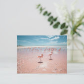 Rosa Flamingos  Postkarte (Stehend Vorderseite)