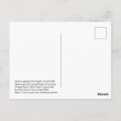 ROSA FLAMINGOS STEHEN ZUSAMMEN POSTKARTE (Rückseite)