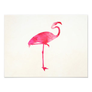 Rosa Flamingowatercolor-Silhouette-Florida-Vögel Fotodruck