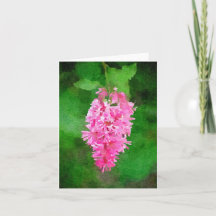 Rosa Flieder Aquarell Leere Karte