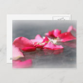 Rosa Floating Rose Petals Postkarte (Vorne/Hinten)