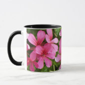 Rosa Flora Tasse (Links)